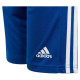 Adidas Squadra 21 Jr GK9156 shorts (164 cm)