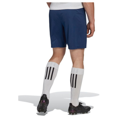 Adidas Entrada 22 M H57506 shorts (XS)