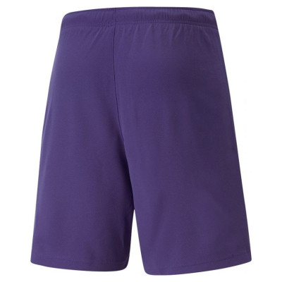 Puma teamRise Short Prist M 704942 10 (2XL)