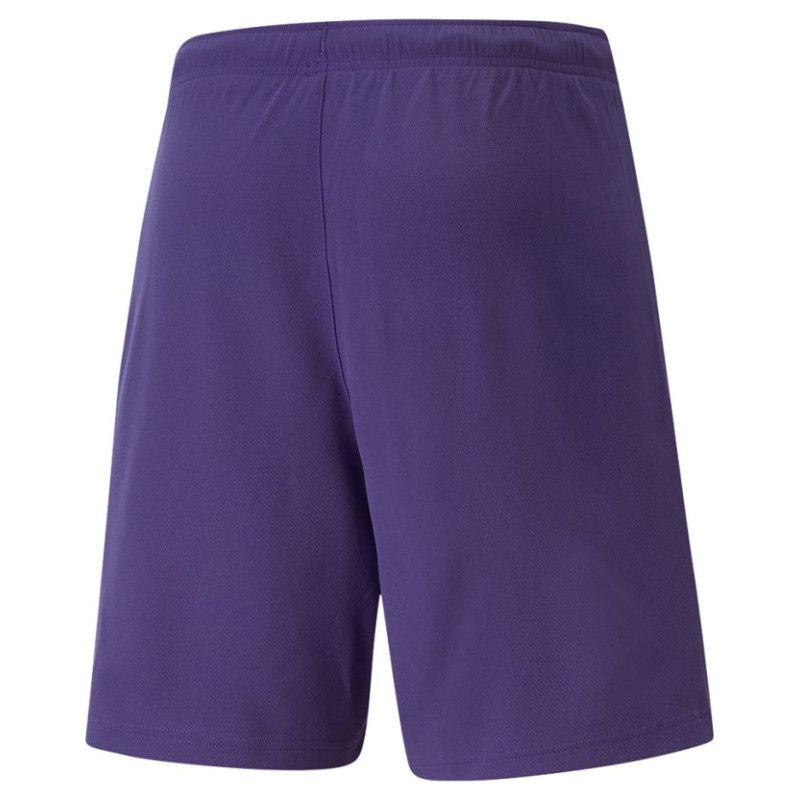 Puma teamRise Short Prist M 704942 10 (2XL)