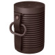 Bang & Olufsen Beosound Explore Chestnut