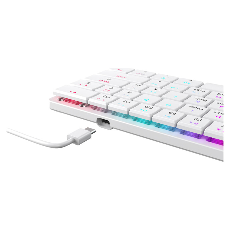 White Shark GK-006221 Nagamaki White-Mechanical-Blue.SW