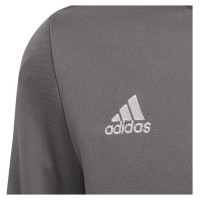 Adidas Sweatshirt adidas Entrada 22 Training Top Jr H57549 (140 cm)