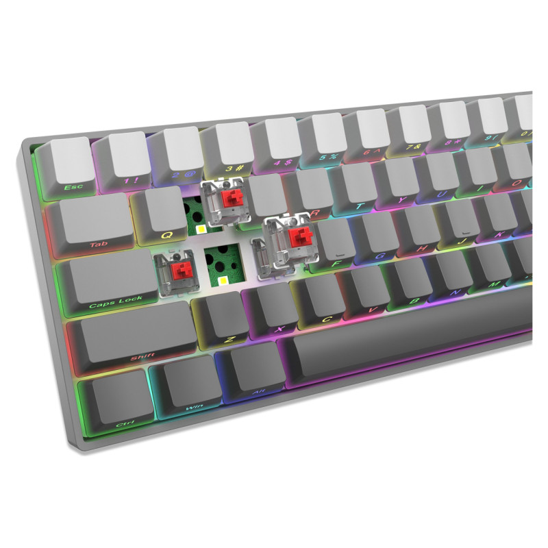 White Shark GK-007711 Nunchaku Grey / Red US