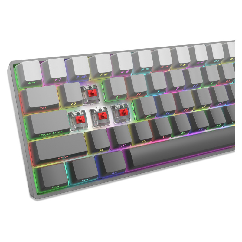 White Shark GK-007711 Nunchaku Grey / Red US