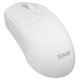 Savio Datorpele Savio MB-04 Silent USB-C/2.4GHz/BT White