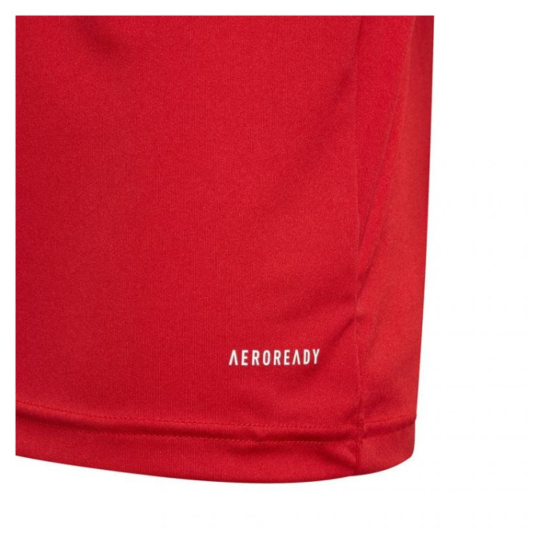 Adidas T-shirt adidas Squadra 21 Polo Jr GP6423 (164 cm)