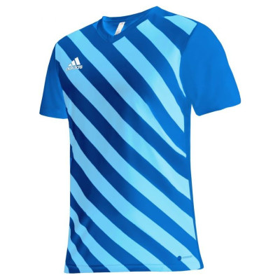 Adidas T-shirt adidas Entrada 22 Graphic Jersey Jr HF0130 (116cm)