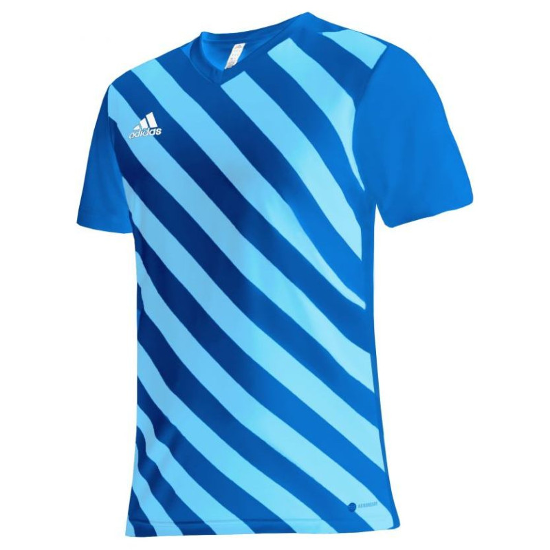 Adidas T-shirt adidas Entrada 22 Graphic Jersey Jr HF0130 (116cm)