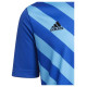Adidas T-shirt adidas Entrada 22 Graphic Jersey Jr HF0130 (116cm)