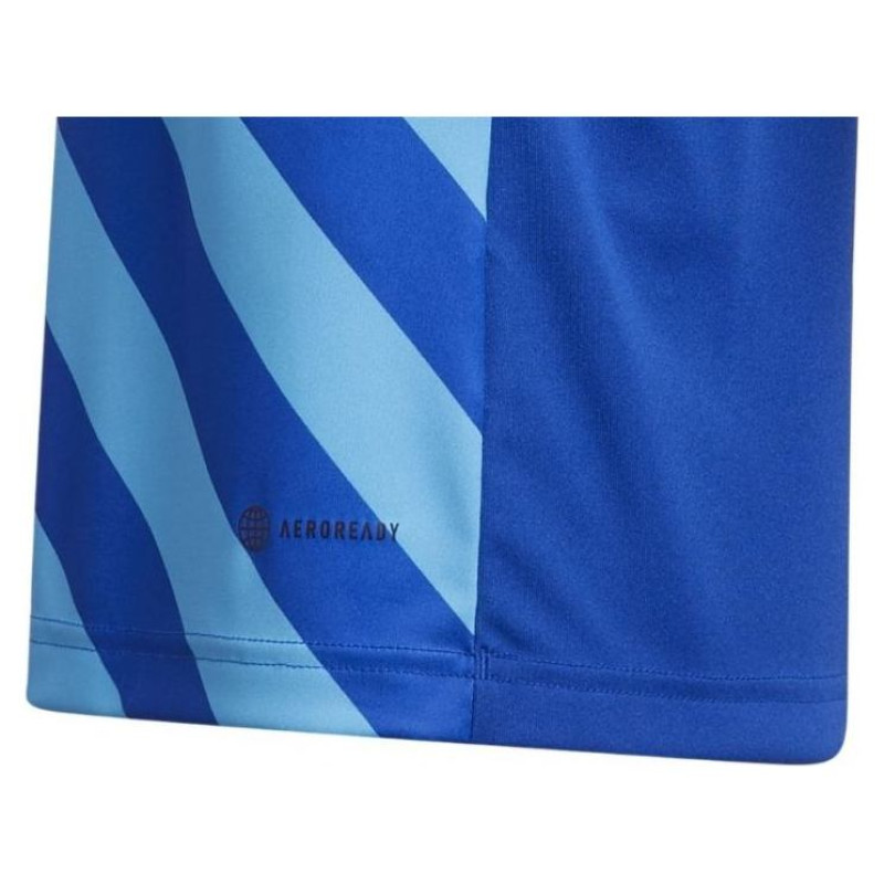 Adidas T-shirt adidas Entrada 22 Graphic Jersey Jr HF0130 (116cm)