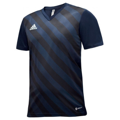 Adidas T-shirt adidas Entrada 22 Graphic Jersey Jr HF0122 (116cm)