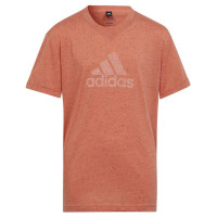Adidas T-shirt adidas FI Big Logo Tee girls Jr IC0110 (152 cm)
