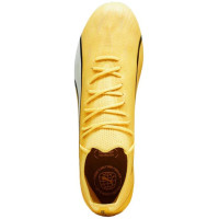 Puma Ultra Ultimate FG/AG M 107311 04 football shoes (40)