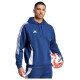 Adidas Tiro 24 Sweat Hooded M IR7546 sweatshirt (S)