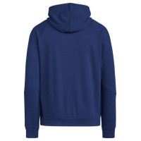 Adidas Tiro 24 Sweat Hooded M IR7546 sweatshirt (S)