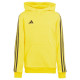 Adidas Tiro 23 League Sweat Hoodie Jr IC7856 (116cm)