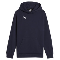 Puma Team Goal Casuals Hoddy Jr sweatshirt 658619 06 (116cm)