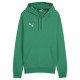 Puma Team Goal Casuals Hoody M 658618 05 (M)