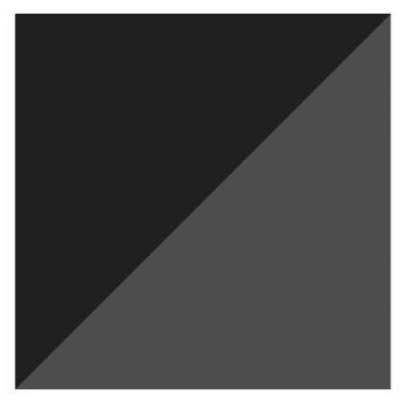 Puma Porsche Legacy RDG Cat 2.0 Motorsport M 307445-01 shoes (42.5)