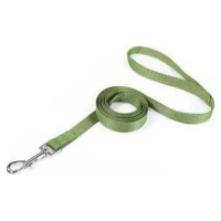 Record Pavada neilona 2,5 x100 cm zaļa