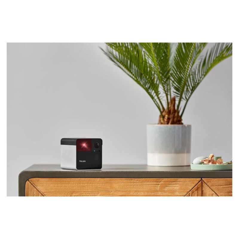Petcube WRL CAMERA PLAY 2/PP20US PETCUBE