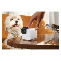 Petcube WRL CAMERA CAM 360/P36010US PETCUBE