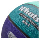 Meteor What's up 1 basketball ball 16788 size 1 (uniw)
