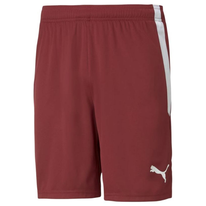 Puma teamLIGA M 704924 09 shorts (M)