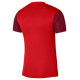 Nike DF Trophy V JSY SS M DR0933 657 T-shirt (L)