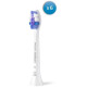 Philips ELECTRIC TOOTHBRUSH ACC HEAD/HX6056/87 PHILIPS