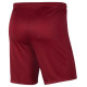 Nike Dry Park III M BV6855-677 shorts (M)