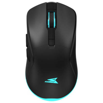 Baracuda BGM-121 Turtle Black