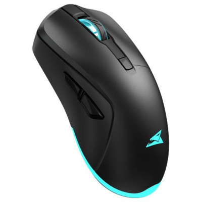 Baracuda BGM-121 Turtle Black