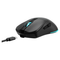 Baracuda BGM-121 Turtle Black