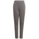 Adidas Tiro 21 Sweat Jr GP8809 pants (164cm)