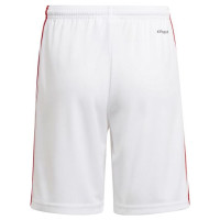 Adidas Shorts adidas Squadra 21 Jr GN5763 (152 cm)