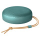 Bang & Olufsen Beosound A1 3rd Gen Eucalyptus Green
