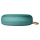 Bang & Olufsen Beosound A1 3rd Gen Eucalyptus Green