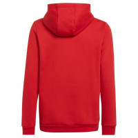 Adidas Sweatshirt adidas Entrada 22 Hoody Jr H57566 (152cm)