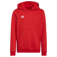 Adidas Sweatshirt adidas Entrada 22 Hoody Jr H57566 (164 cm)