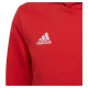 Adidas Sweatshirt adidas Entrada 22 Hoody Jr H57566 (164 cm)