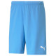 Puma Shorts Puma teamRise Short Team M 704942 18 (M)