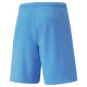 Puma Shorts Puma teamRise Short Team M 704942 18 (M)