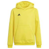 Adidas Sweatshirt adidas Entrada 22 Hoody Y Jr HI2142 (164 cm)