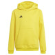 Adidas Sweatshirt adidas Entrada 22 Hoody Y Jr HI2142 (164 cm)