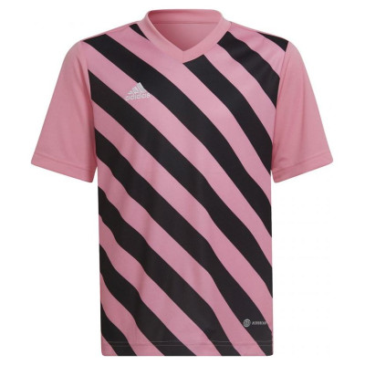 Adidas Entrada 22 Graphic Jersey Jr HC2632 (116 cm)
