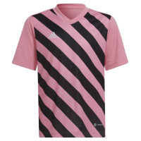 Adidas Entrada 22 Graphic Jersey Jr HC2632 (116 cm)