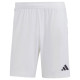 Adidas Shorts adidas Tiro 23 League M IB8083 (XL)