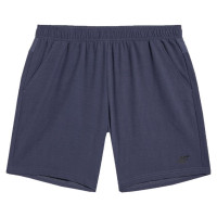 4F FNK M290 M shorts 4FAW23TFSHM290 32S (S)